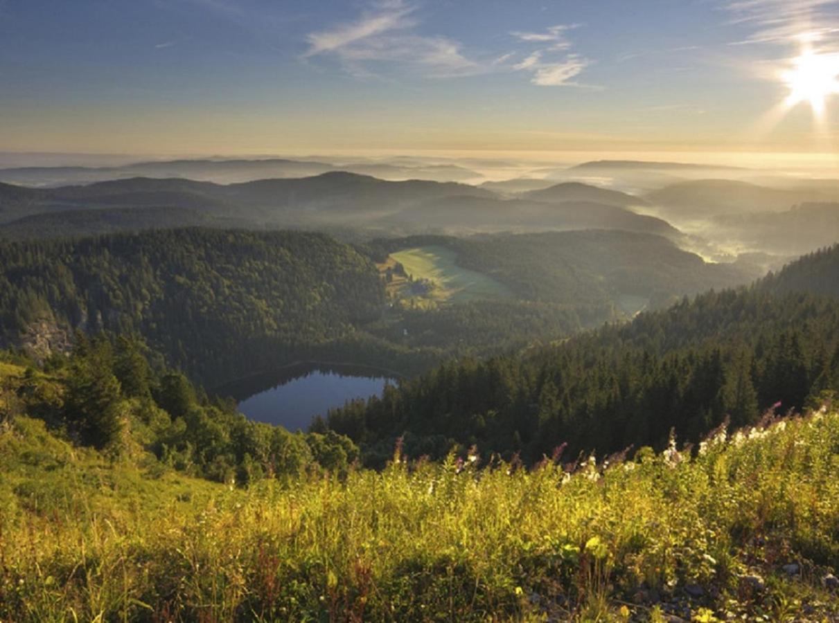 Ferienwohnung Zwischen Rhein Und Schwarzwald Bischweier Exterior photo